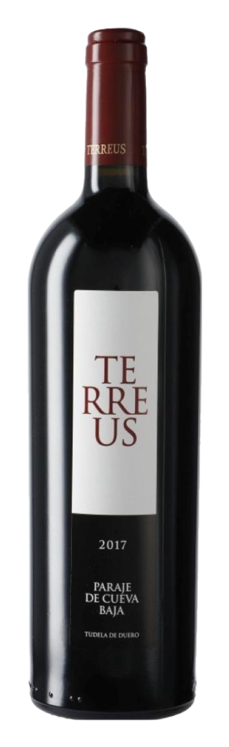 Bodegas Mauro - Terreus