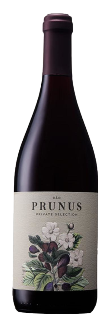 Prunus - Dao DOC Red