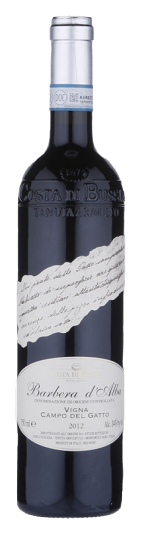 Costa Di Bussia - Barbera D'Alba Campo del Gatto