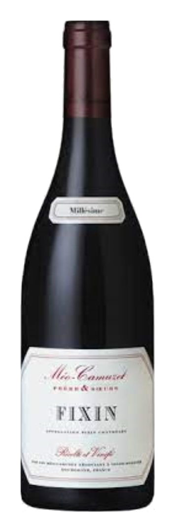 Dom Meo Camuzet - Fixin