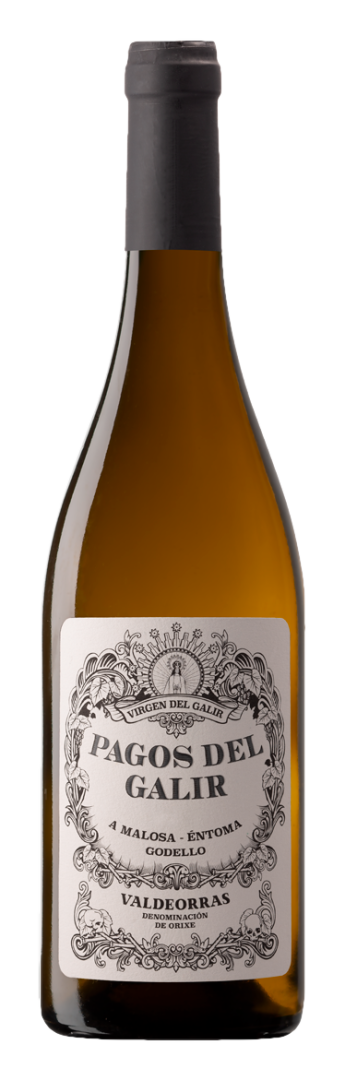 Virgen Del Galir - Pagos del Galir Godello