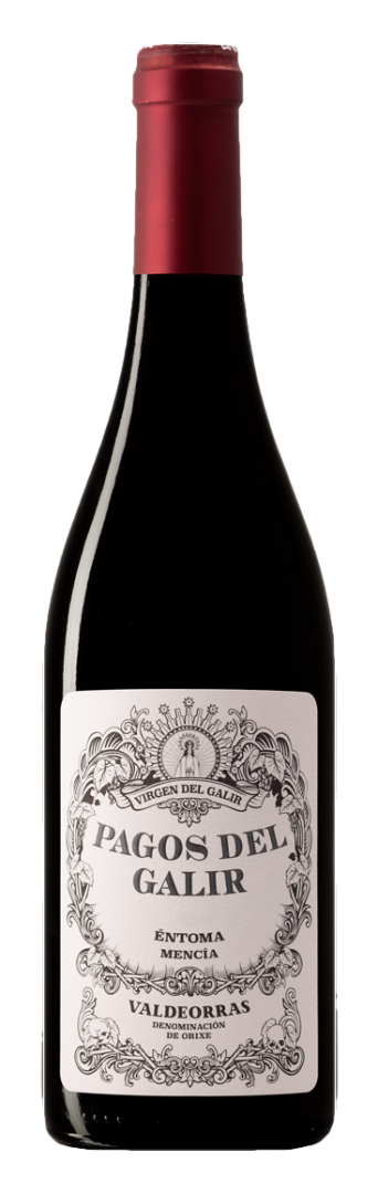 Virgen Del Galir - Pagos del Galir Mencia