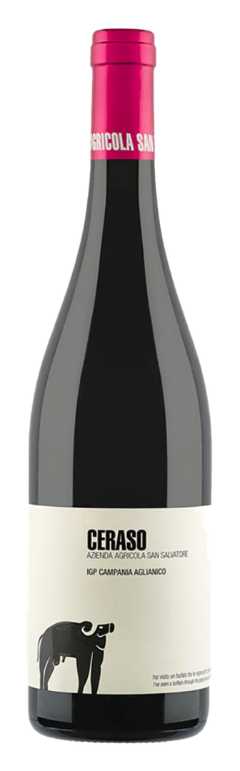 San Salvatore - Ceraso Aglianico