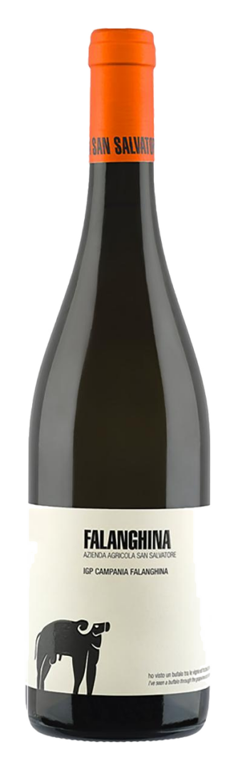San Salvatore - Falanghina