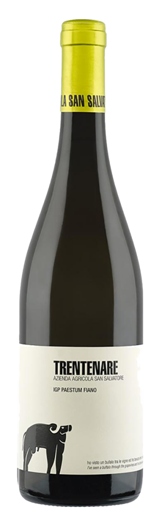 San Salvatore - Trentenare Fiano