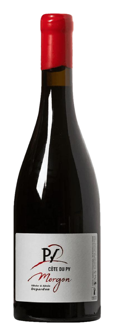 Dom de la Beche - Morgon Cote du Py