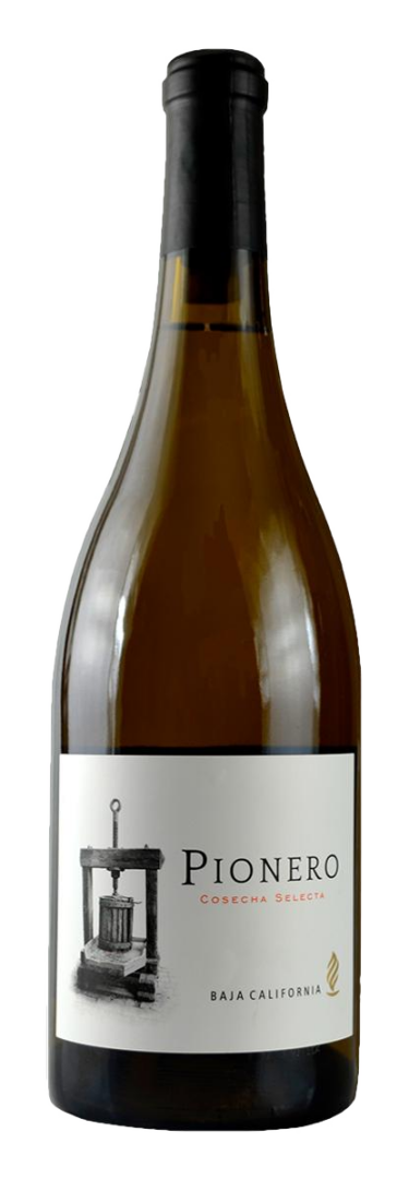 Palafox - Pionero Blanco