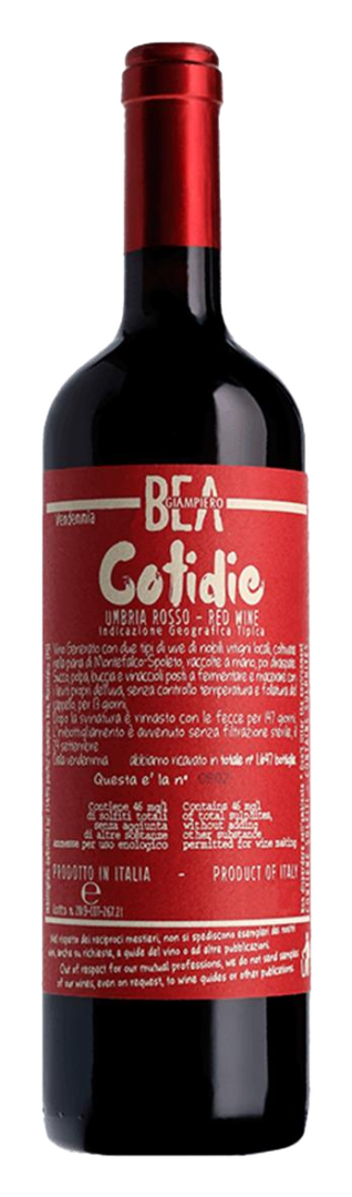 Paolo Bea - Cotidie Rosso