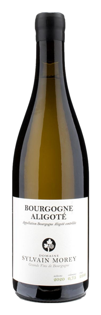 Sylvain Morey - Aligote