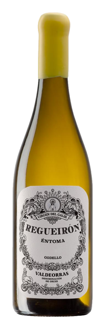 Virgen Del Galir - Regueiron