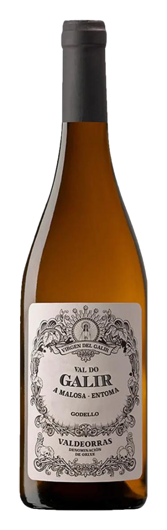 Virgen Del Galir - Val Do Galir Godello
