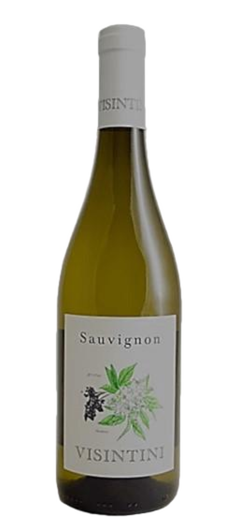 Visintini - Sauvignon Blanc