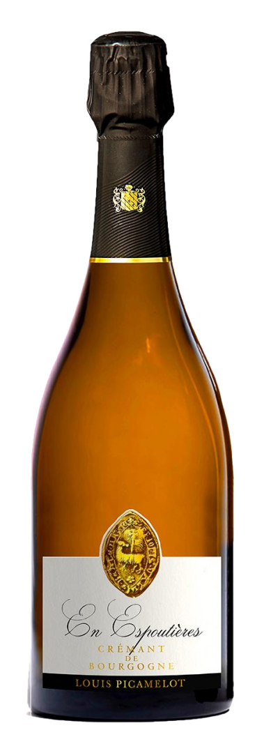 Louis Picamelot - Cremant en Espoutieres