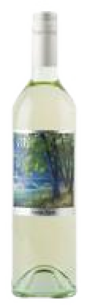 Lewis Wines - Swim Spot