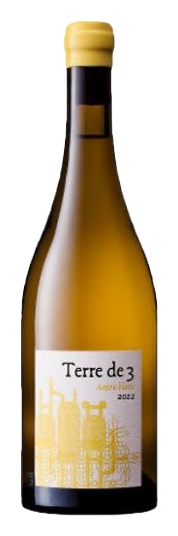 Terra Vita Vinum - Terre de 3 Anjou Blanc