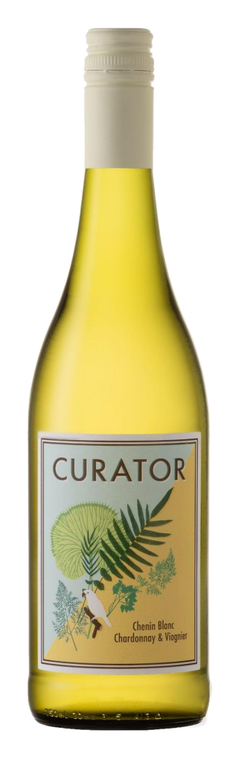 The Curator - White