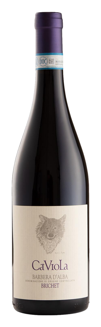 Ca Viola - Barbera d'Alba Brichet