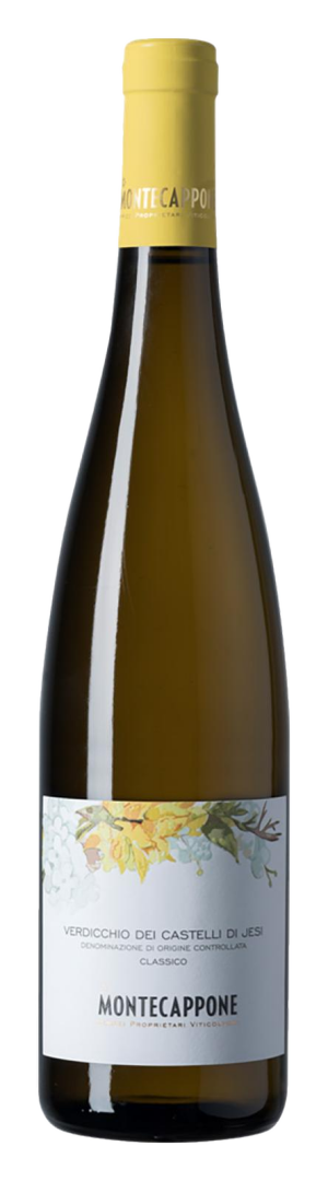 Montecappone - Verdicchio Classico
