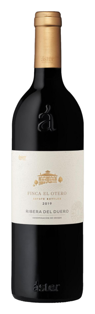 Aster - Finca El Otero